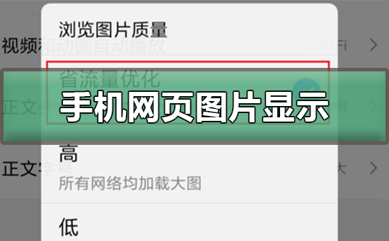 网页打开像手机版网页版输入账号登录